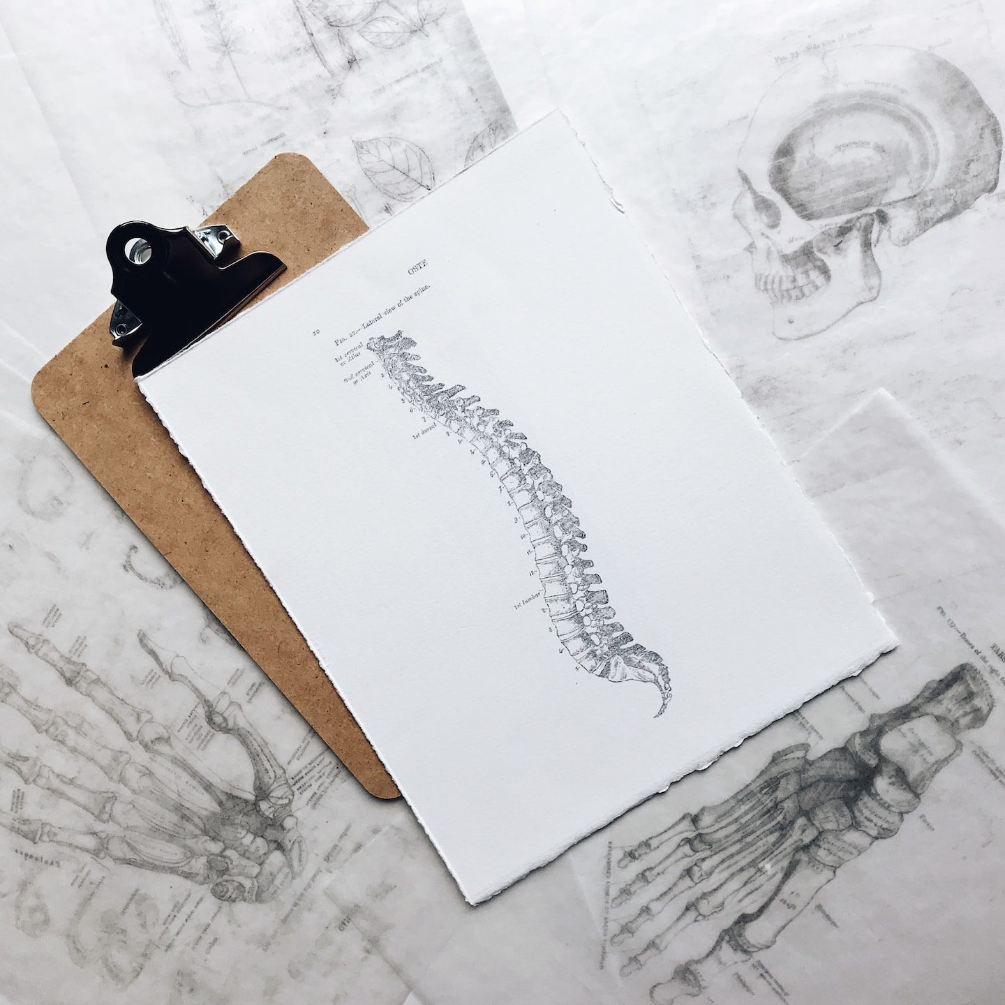 brown and black clipboard with white spinal cord print manual